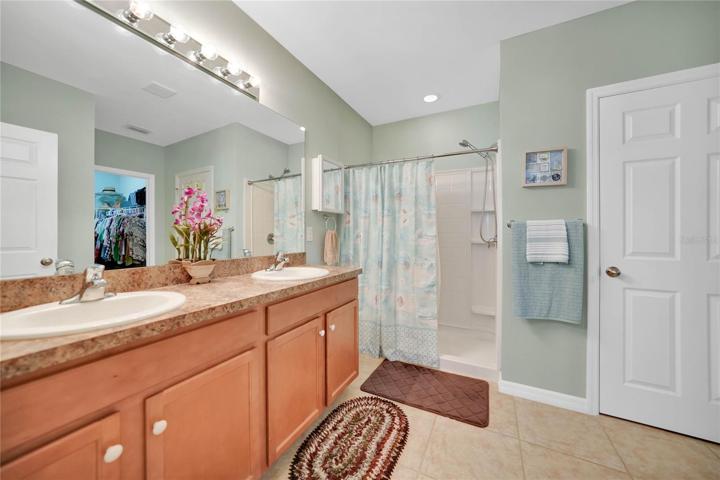Master Bathroom step in shower, and large linen closet