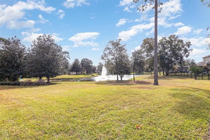 Beautiful pond with fountain