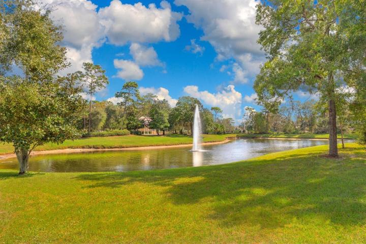 Pond