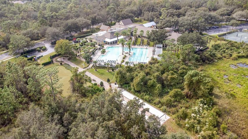 Community pool and amenities