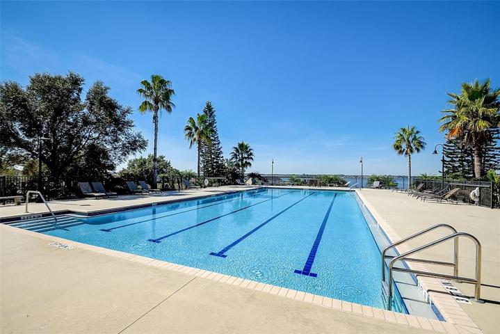 Lap Pool
