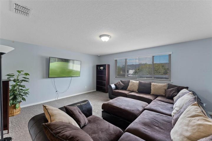 Family Room/ Loft