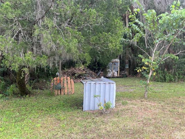 Yard View 4