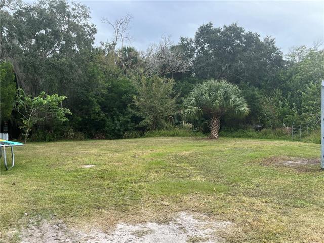 Yard View 3