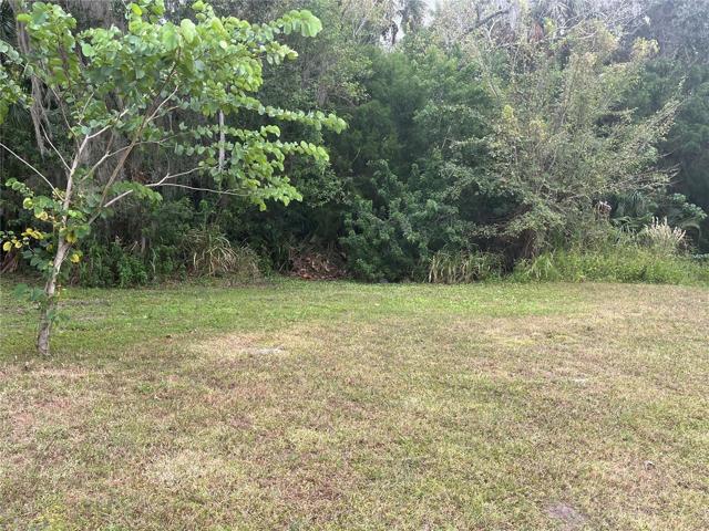 Yard View 4