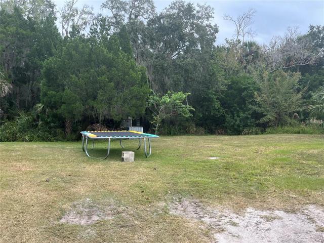 Yard View 2