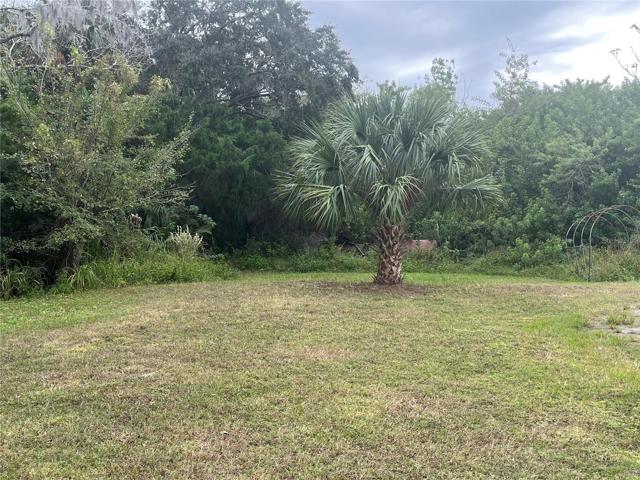 Yard View 1