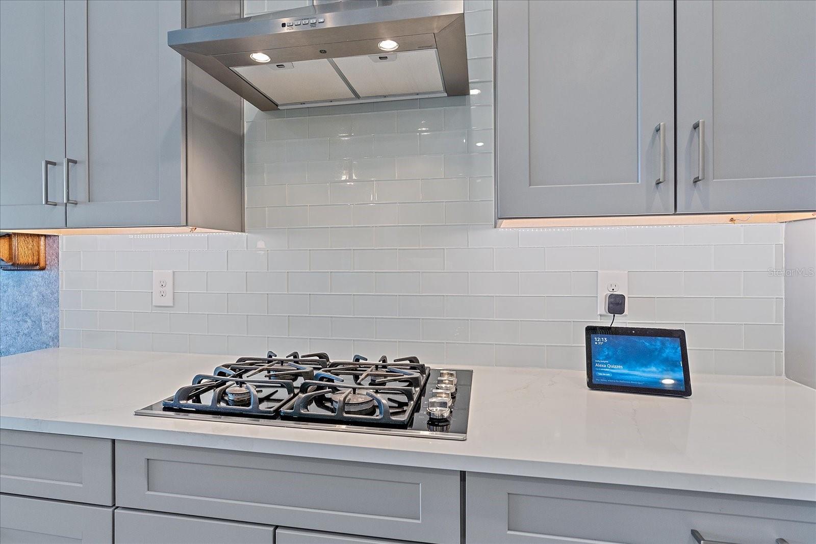 Gas stove