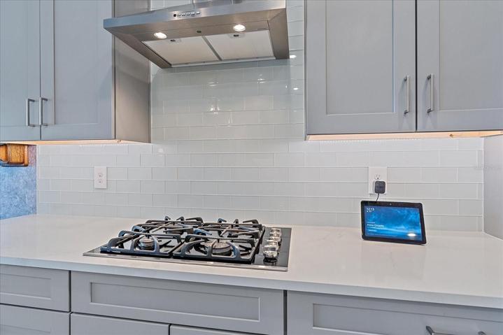 Gas stove