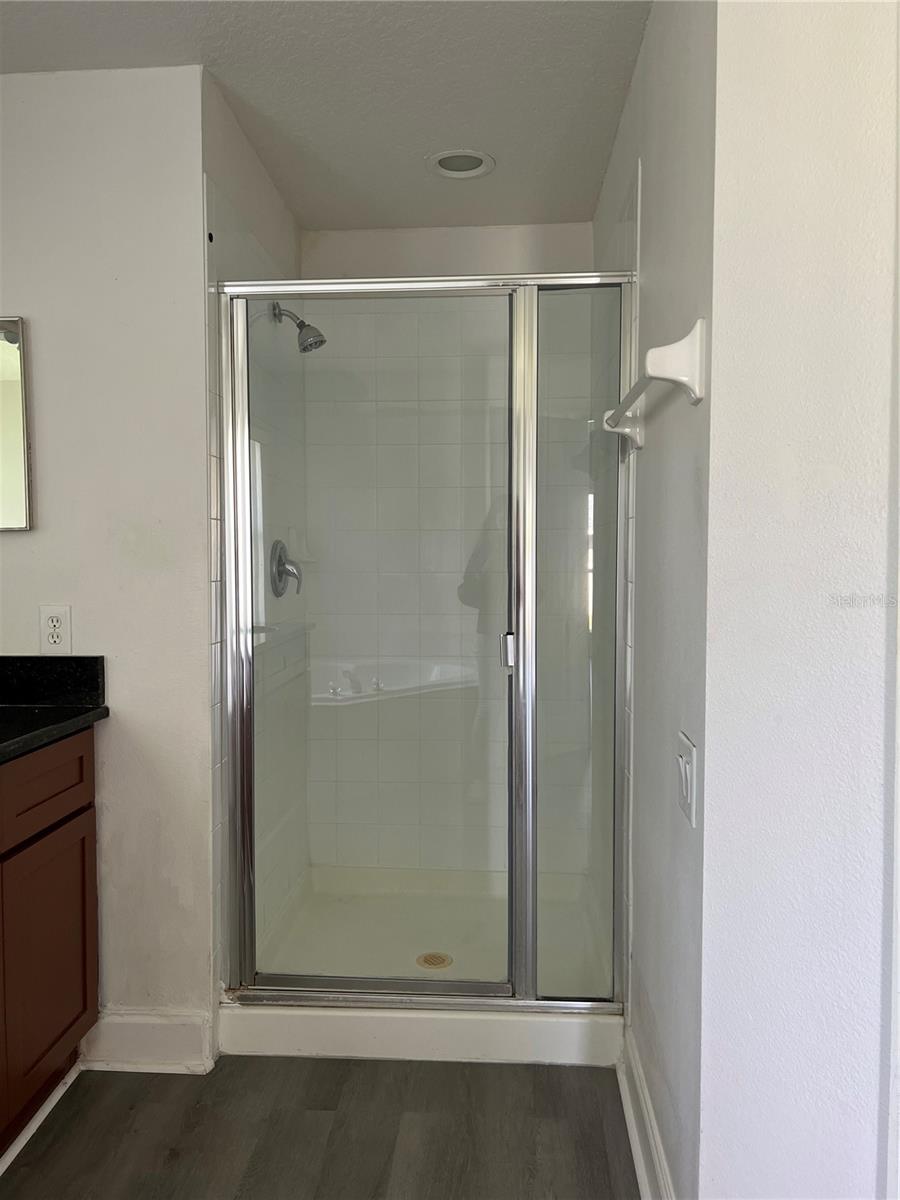 master bathroom separate shower area