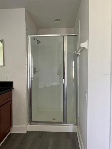 master bathroom separate shower area