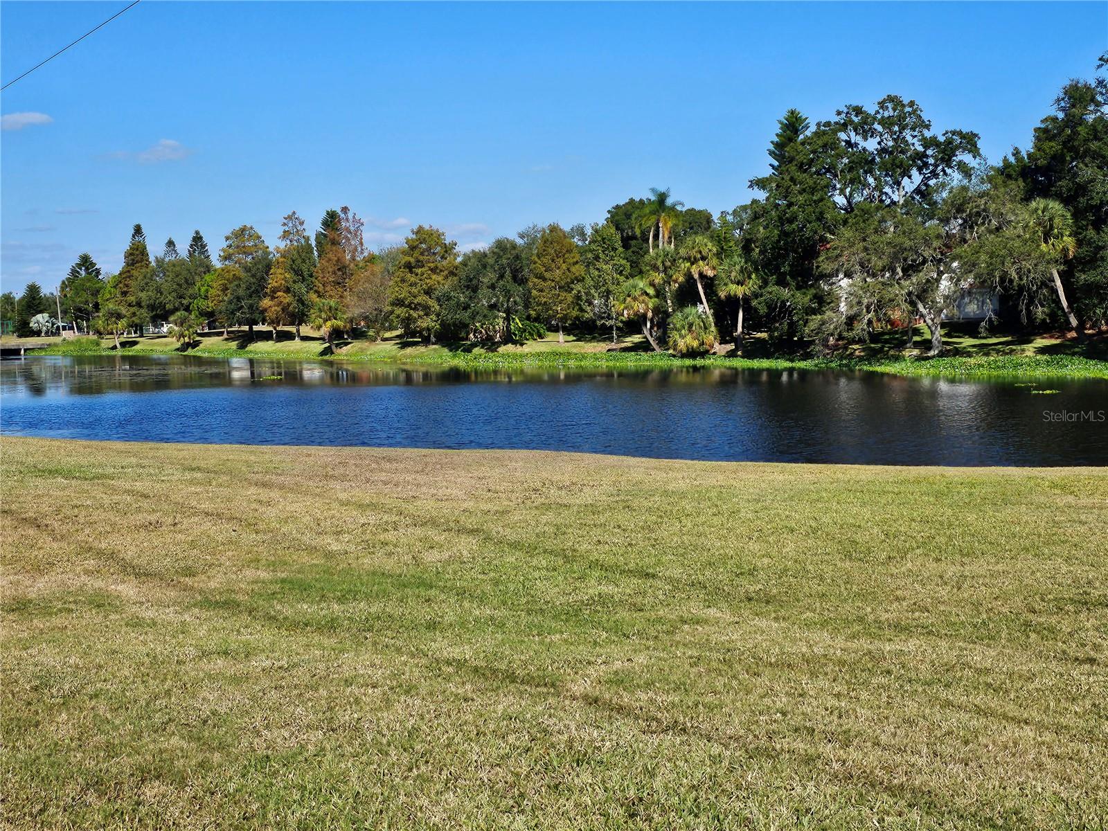 Pond View from back patio