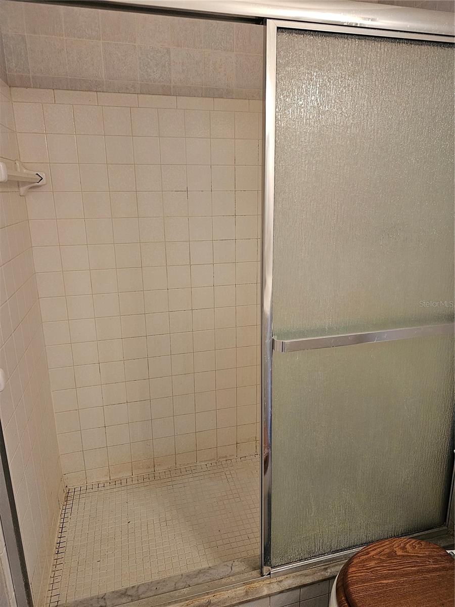 Master Bath shower