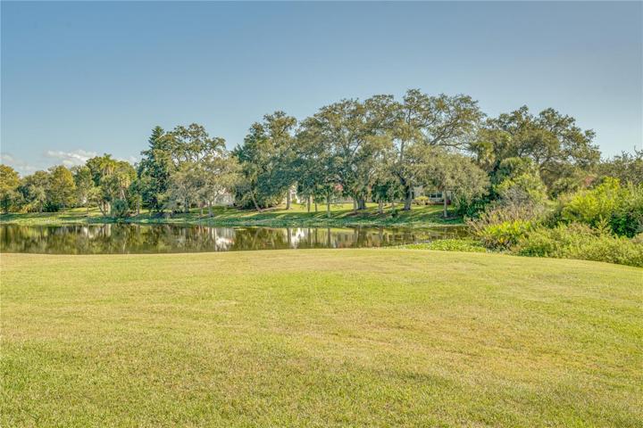 View from back patio and dining room