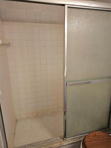 Master Bath shower