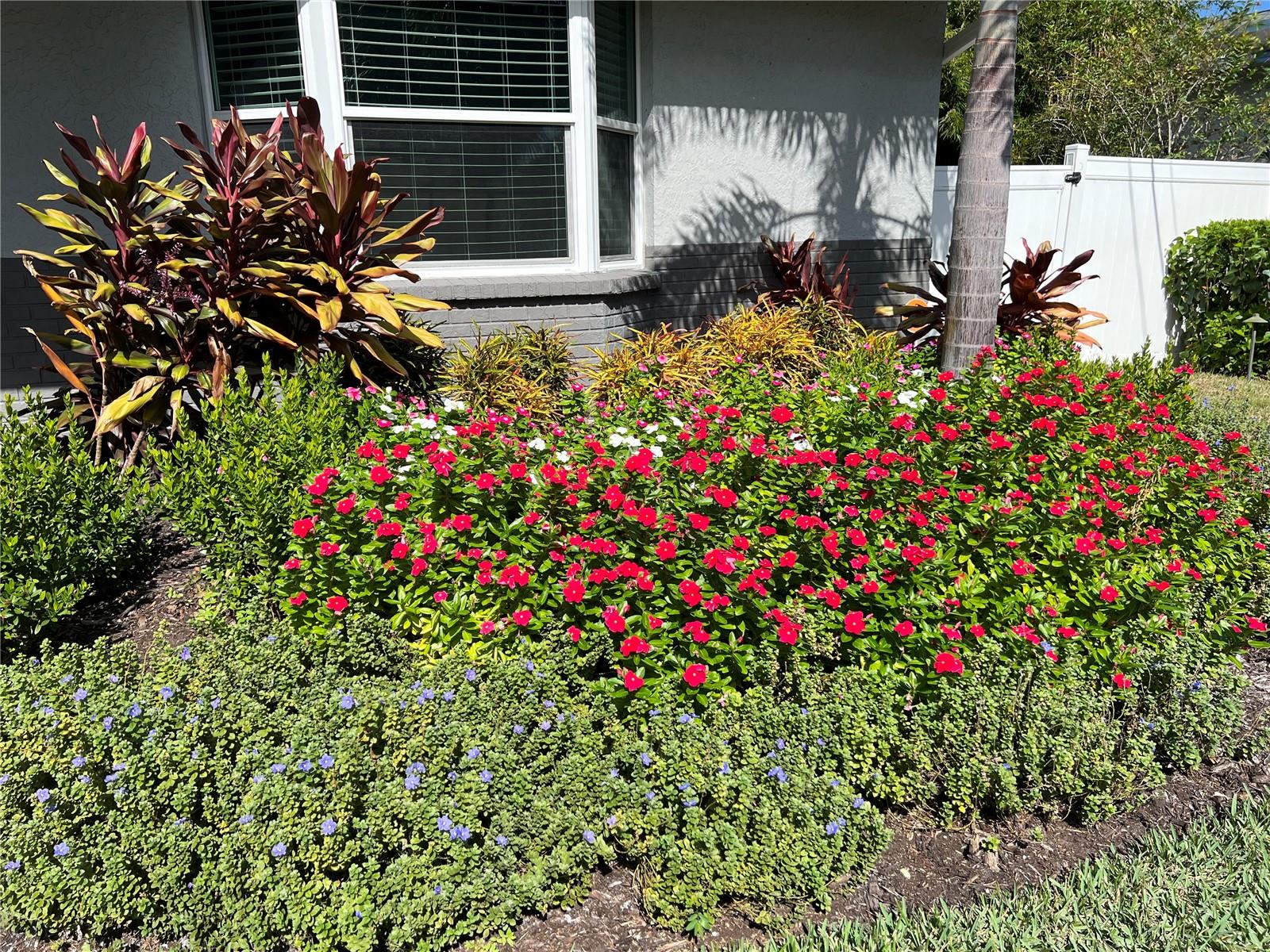 Front garden