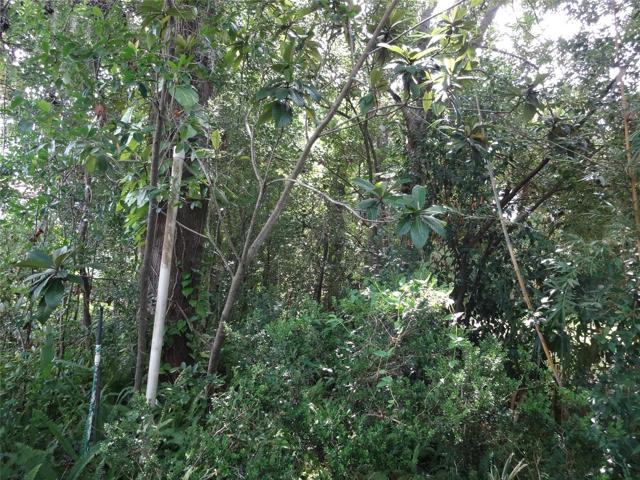 privacy landscape