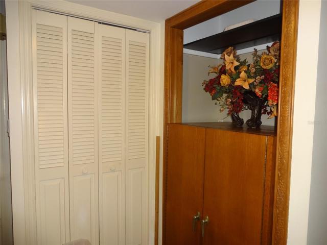 large closet in hall