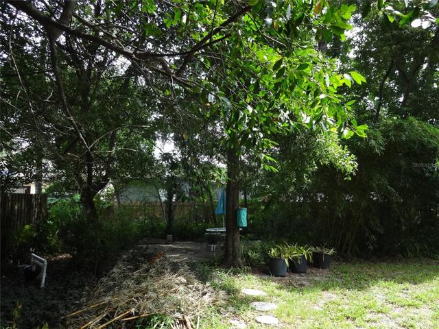 rear patio