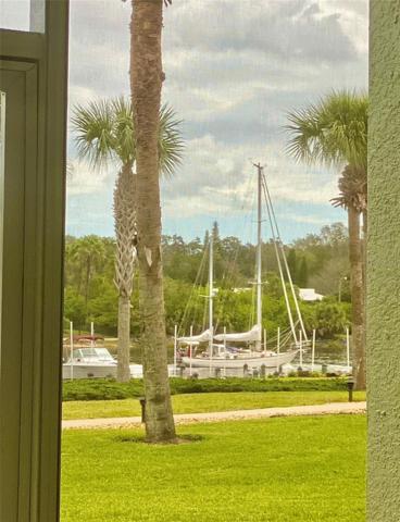 Walk-Out View through Lanai