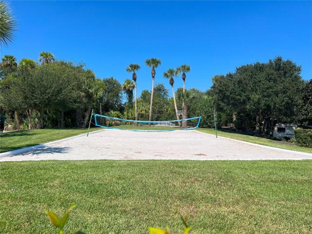 Volley Ball
