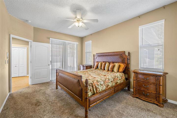 Primary Bedroom with Sliders to Patio