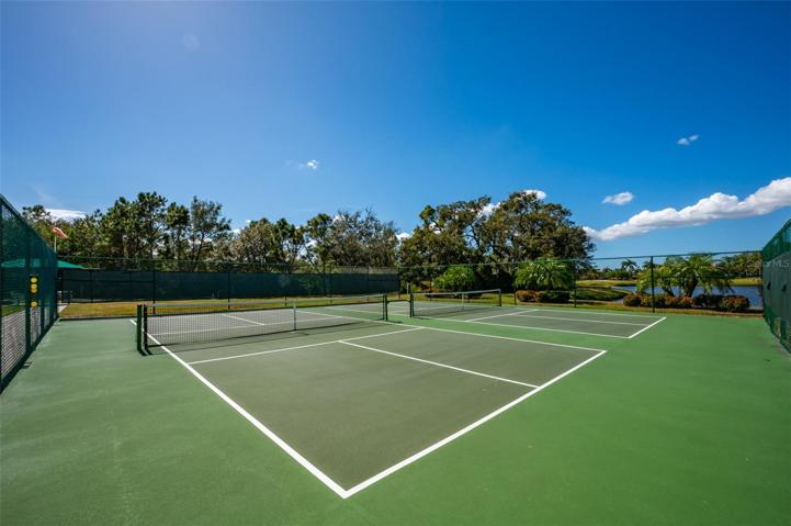 PickleBall
