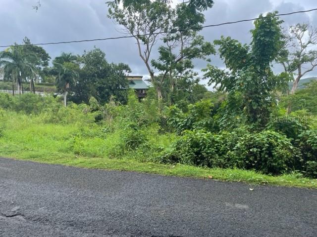 Lot view and road