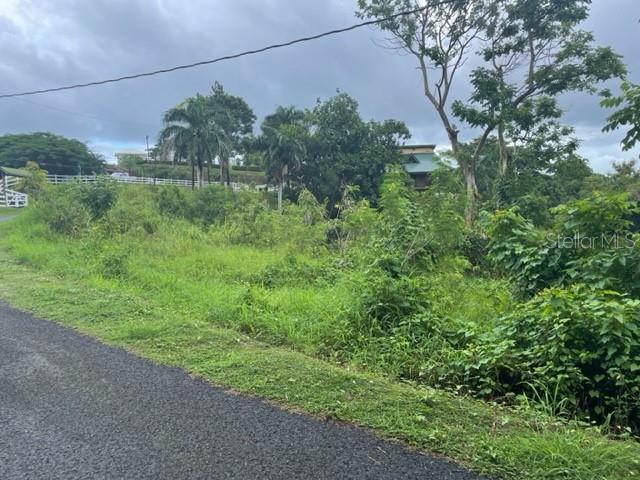 Lot view and road