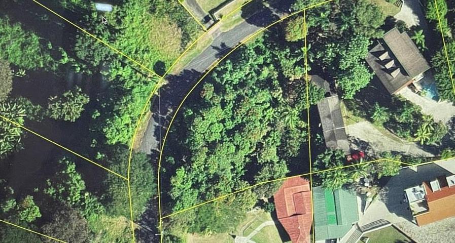 Lot and adjoining lots