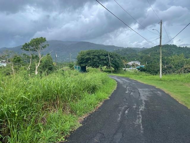 Road in front of the lot