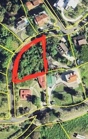 Lot marked