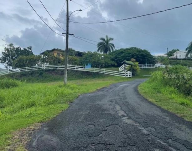 Neighborhood