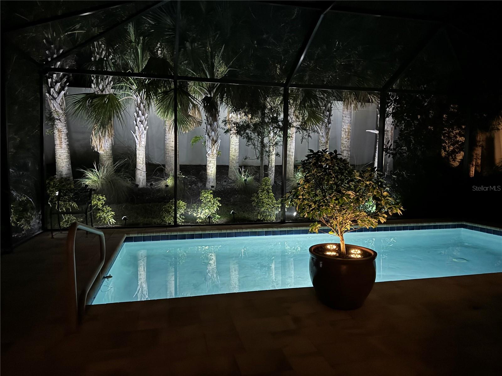 View from your pool at night!