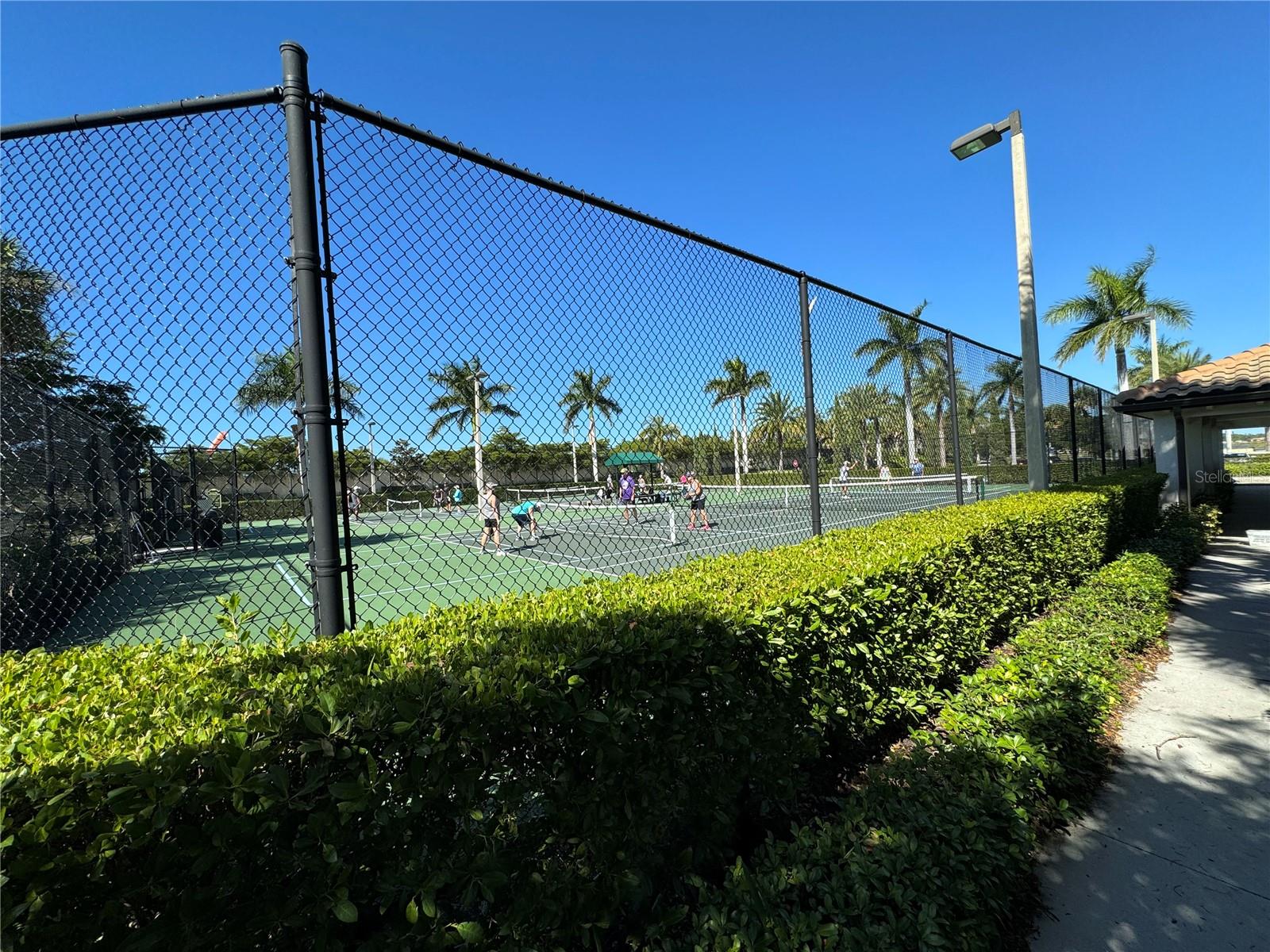 tennis/pickleball courts