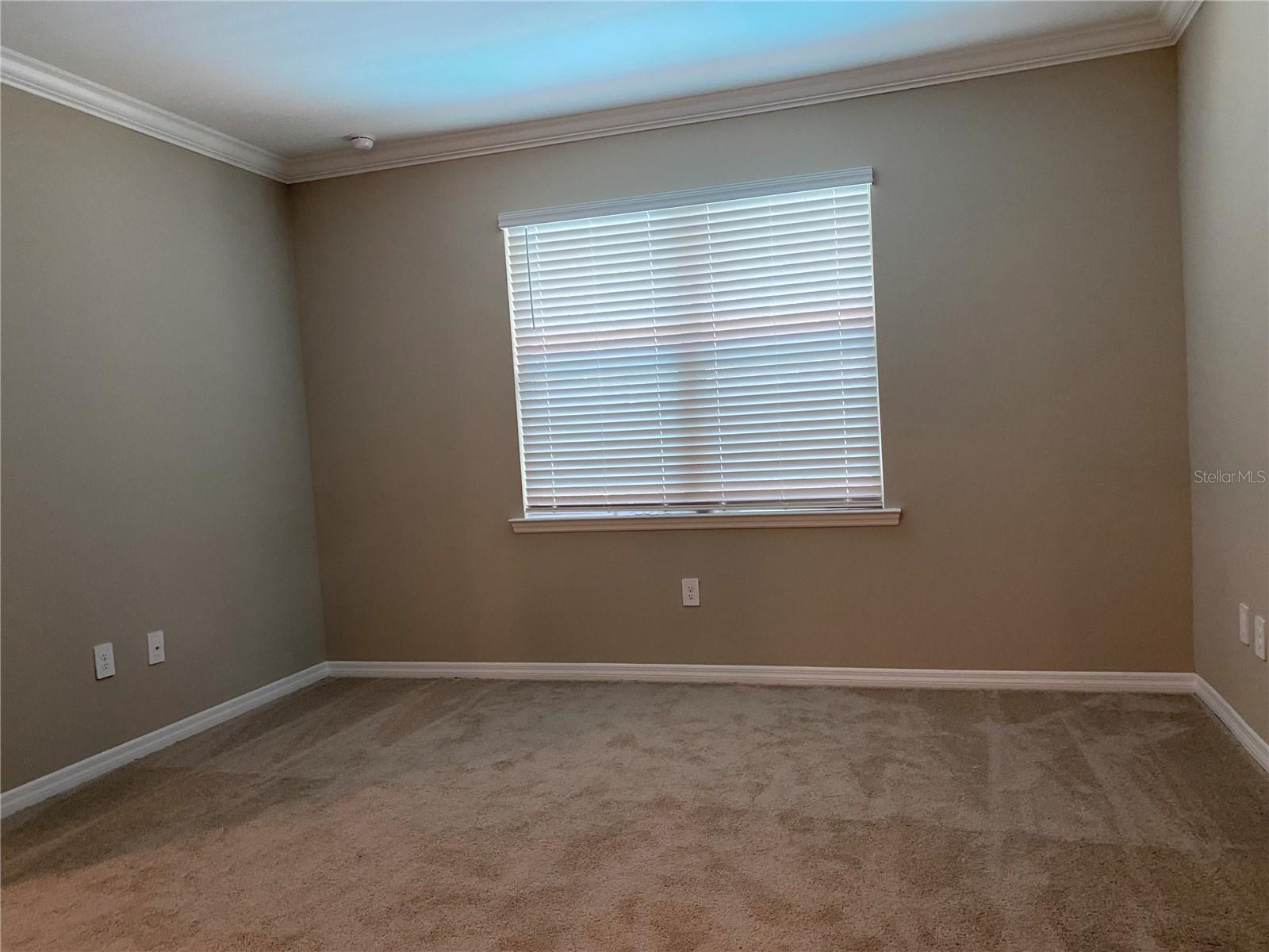 King Sized Master Bedroom