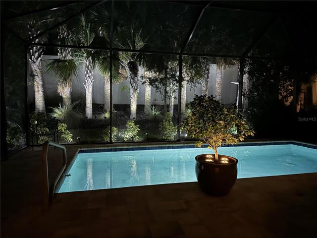 View from your pool at night!