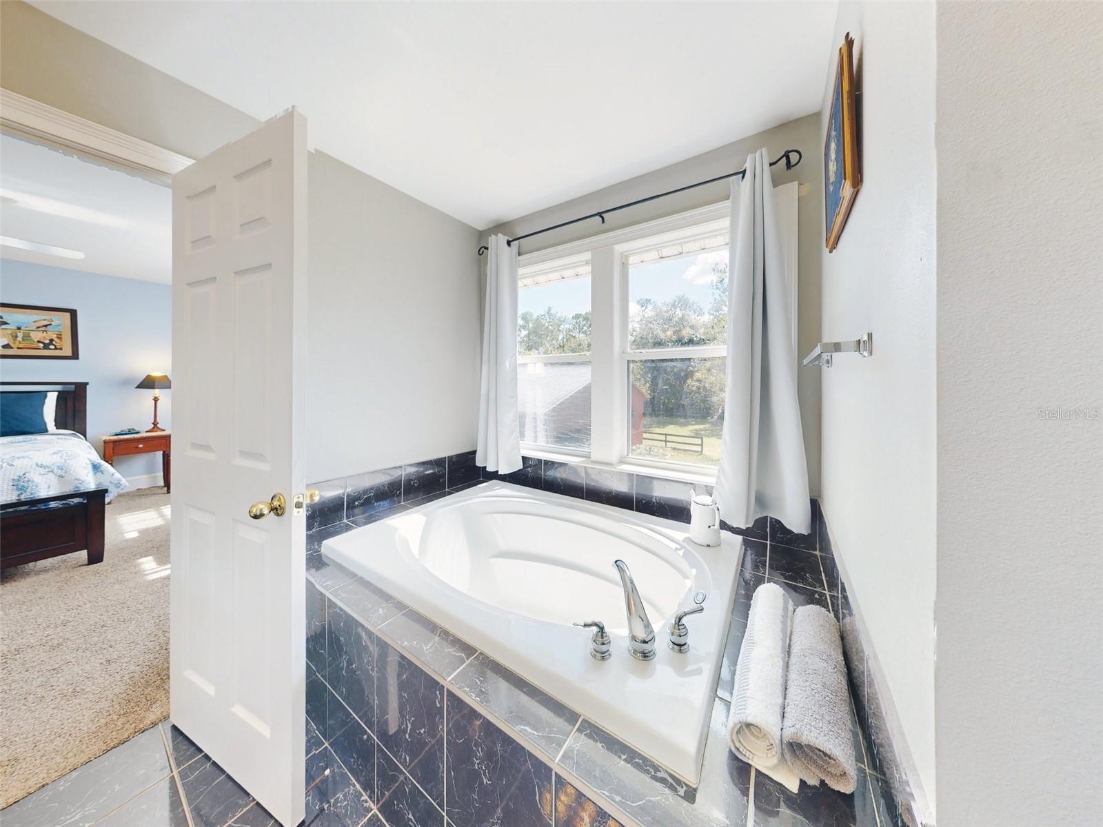 master bathroom garden tub