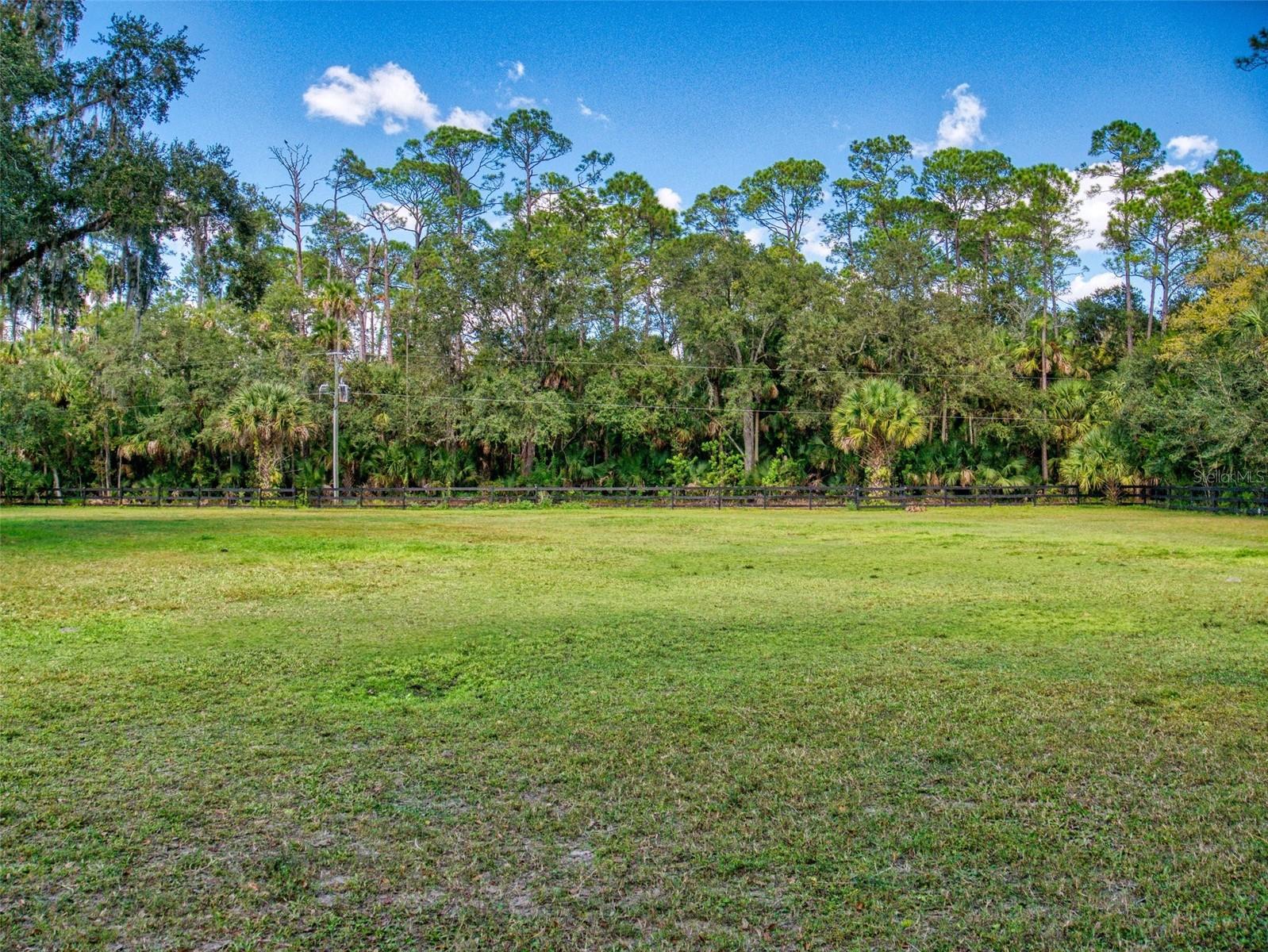 pasture back