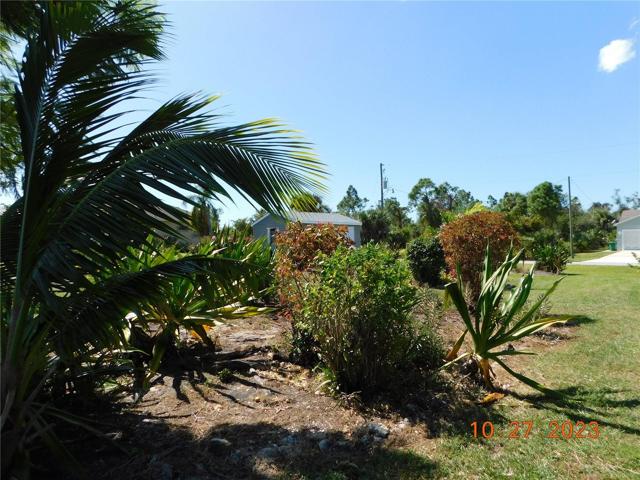 side view