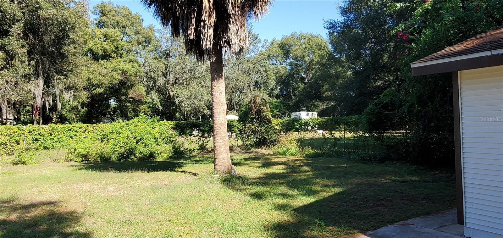 backyard