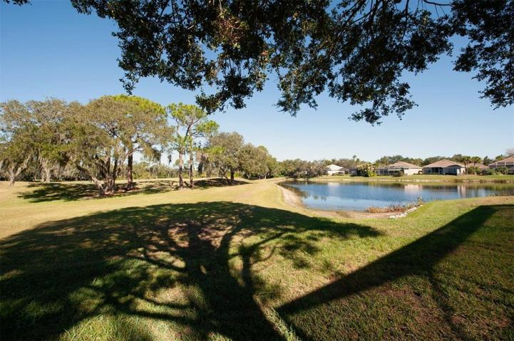 Backyard of the Rosedale home!