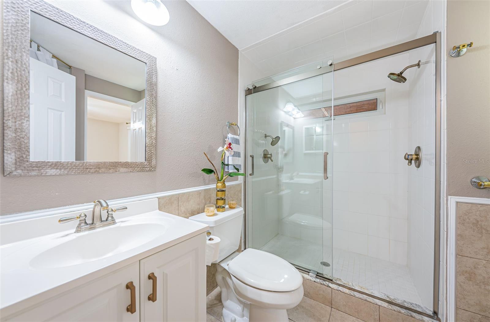 Guest bathroom with walk-in shower