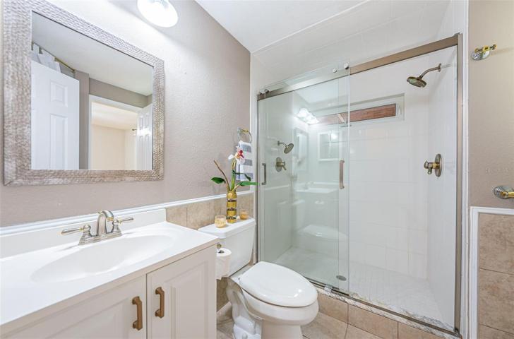 Guest bathroom with walk-in shower