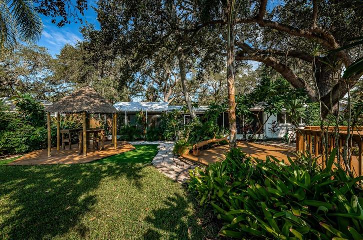 Backyard oasis