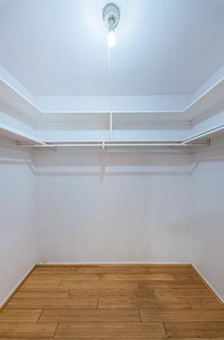 Master walk-in closet