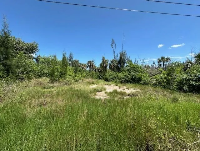 St James City, Florida 33956, 0 , 0 ,0,Land,For Sale,PAPAYA,0,C7483277