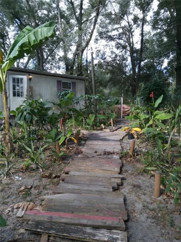 Boardwalk