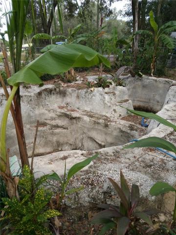 Pool Foundation