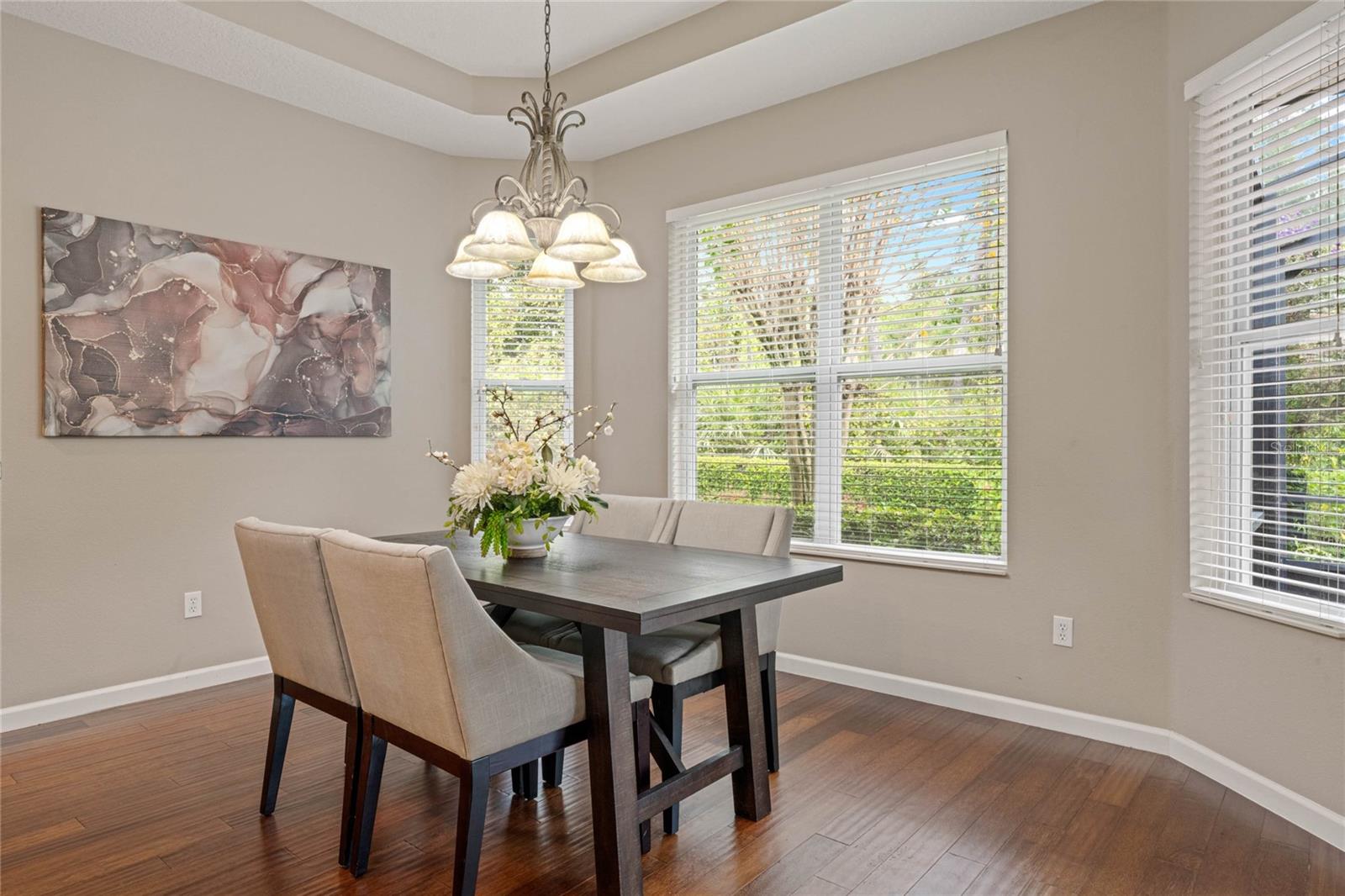 14' x 10'6" Dining Room w/ tray ceiling &amp; conservation area views